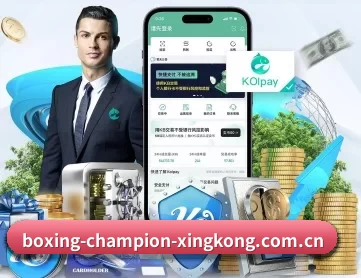星空娱乐 APP 深度功能
