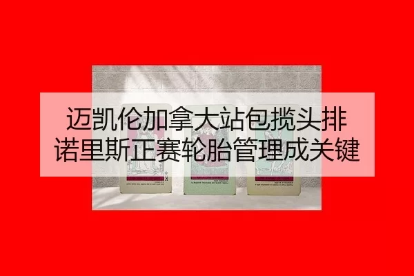 mai-kai-lun-jia-na-da-zhan-bao-lan-tou-pai-nuo-li-si-zheng-sai-lun-tai-guan-li-cheng-guan-jian-2-500.jpg